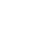 globe icon